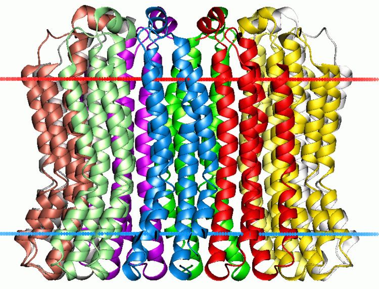 ATP synthase subunit C