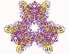 Atrazine chlorohydrolase httpsuploadwikimediaorgwikipediacommonsthu