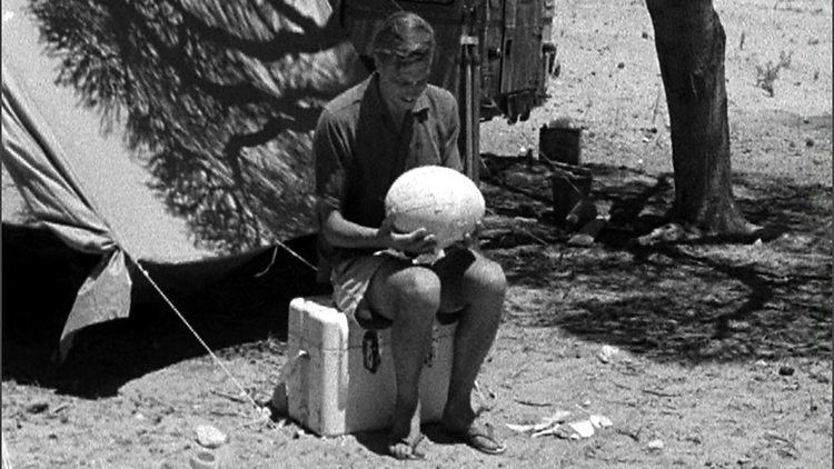 Attenborough and the Giant Egg BBC David Attenborough and the giant egg 1960 Zoo Quest to