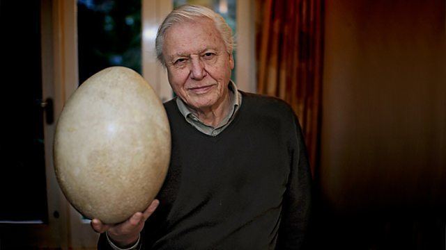 Attenborough and the Giant Egg BBC Two Attenborough and the Giant Egg