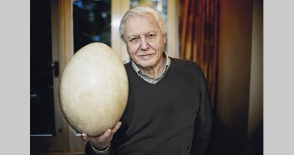 Attenborough and the Giant Egg In Which Sarah Barr Embraces Pain Challenge 16 Page 5