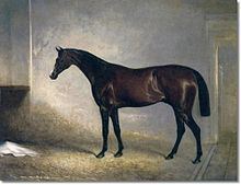 Attila (horse) httpsuploadwikimediaorgwikipediacommonsthu