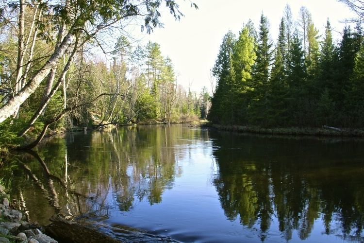 Au Sable River (Michigan) httpswwwoldausablecommediawysiwygRiverPics