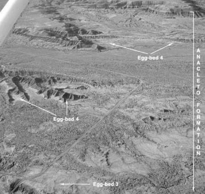 Auca Mahuevo 2 Aerial photograph showing eggbeds 3 and 4 at Auca Figure 2 of 9