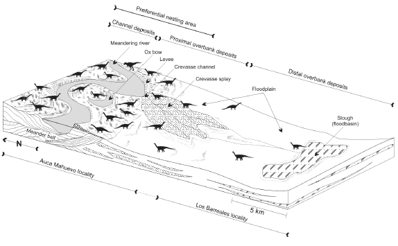 Auca Mahuevo Paleoambiente de los sitios de nidificacin de saurpodos de Auca