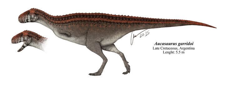 Aucasaurus Aucasaurus garridoi by Kanahebi on DeviantArt