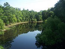 Aucilla River httpsuploadwikimediaorgwikipediacommonsthu