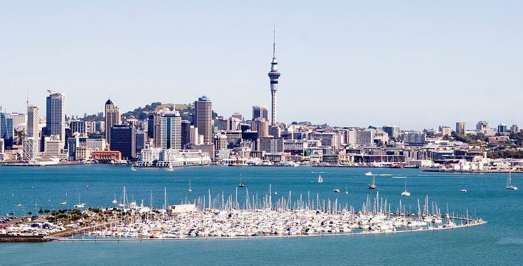 Auckland Harbour Crossing Swim