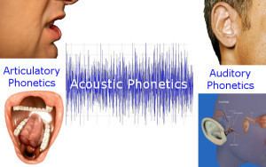 Auditory phonetics patrickhayeckfileswordpresscom201307phonetic