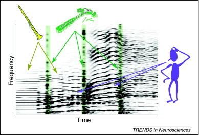 Auditory scene analysis Temporal coherence and attention in auditory scene analysis Trends