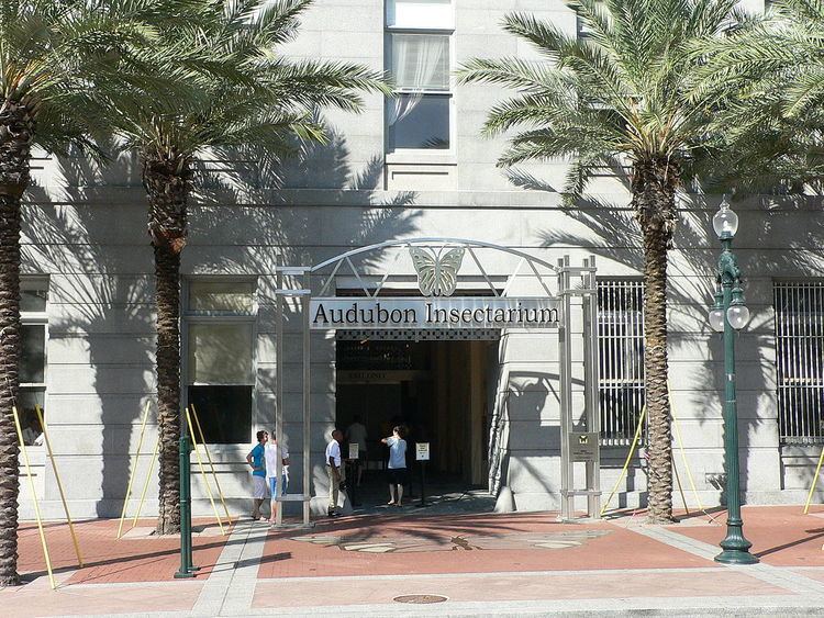Audubon Butterfly Garden and Insectarium