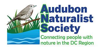 Audubon Naturalist Society httpsaudubonnaturalistthankyou4caringorgimag