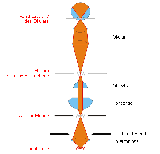 August Köhler wwwmikroskopiedekursegrafikenkoehlbelkoehlpu