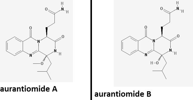 Aurantiomide