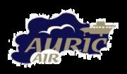 Auric Air httpsuploadwikimediaorgwikipediaenthumb1