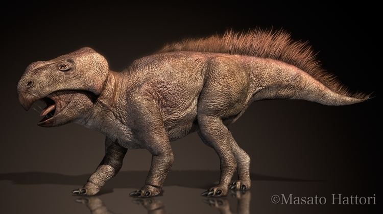 Auroraceratops 1000 images about DINOSAURICON N EARLY NEOCERATOPSIANS on Pinterest