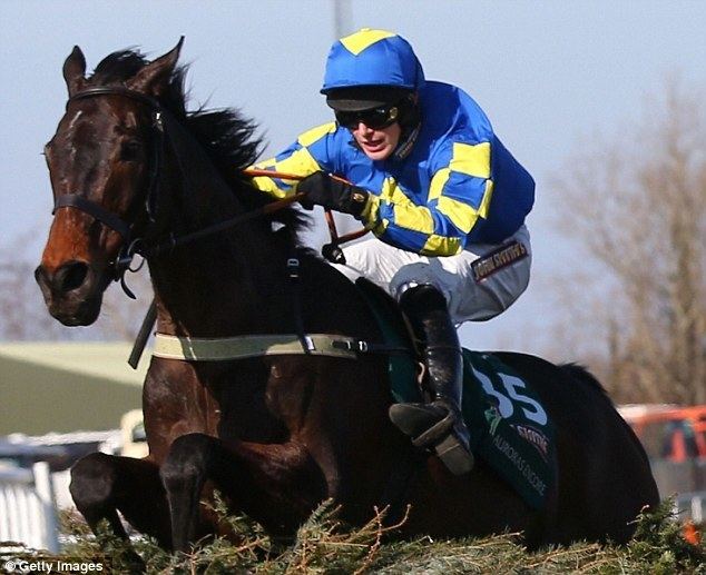 Auroras Encore Auroras Encore wins Grand National at 661 Daily Mail Online