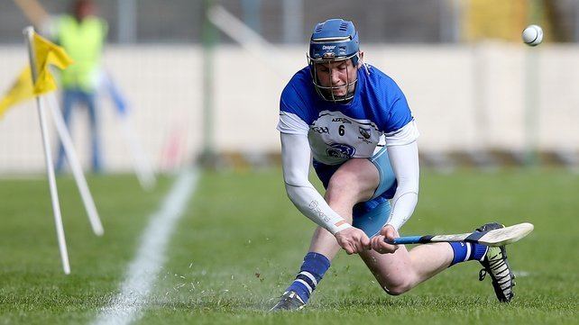 Austin Gleeson Ugly scenes in mass brawl at Waterford club game RT Sport