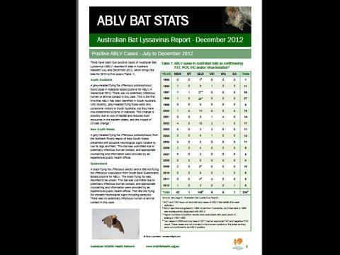 Australian bat lyssavirus wwwtropicalhealthsolutionscomsitesdefaultfile