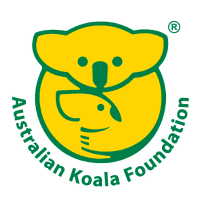 Australian Koala Foundation Australian Koala Foundation AKF LinkedIn