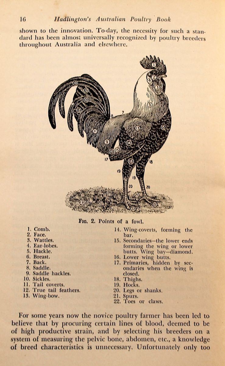 Australian Poultry Standards