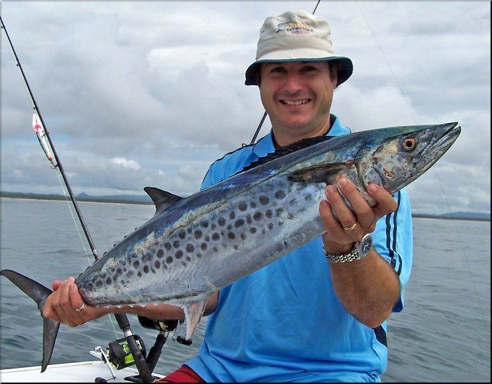 Australian spotted mackerel The April Fishing Report Week One 2010 Noosa Queensland
