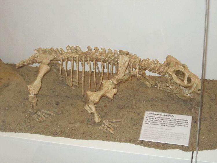 Australobarbarus