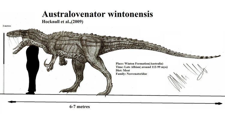 Australovenator Australovenator wintonensis by Teratophoneus on DeviantArt