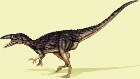 Australovenator AUSTRALOVENATOR DinoChecker dinosaur archive