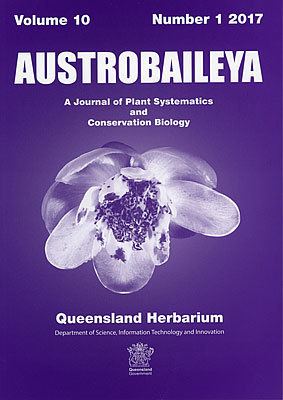 Austrobaileya Austrobaileya Environment land and water Queensland Government