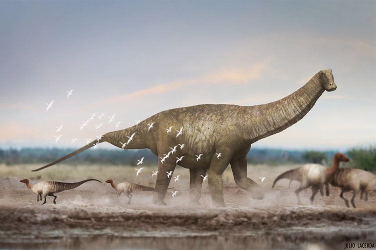 Austroposeidon Brazil39s biggest dinosaur gets a name Earth Archives