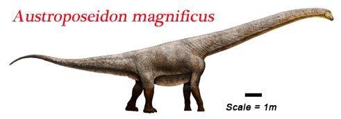 Austroposeidon Brazil39s Biggest Dinosaur To Date Austroposeidon magnificus