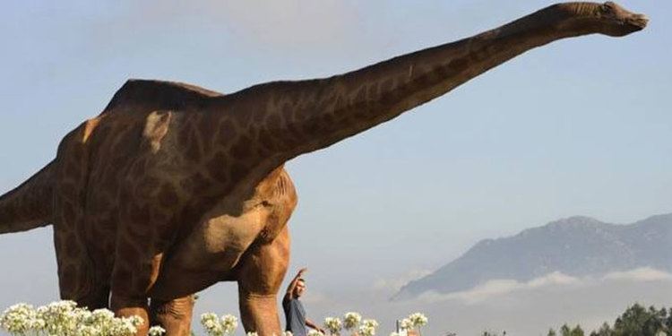 Austroposeidon Brazilian scientists discover largest dinosaur in Brazil Named it