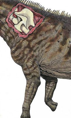 Austroposeidon Species New to Science Paleontology 2016 Austroposeidon