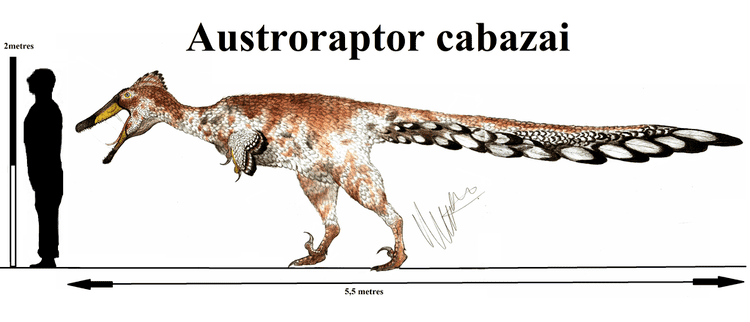 Austroraptor austroraptor DeviantArt