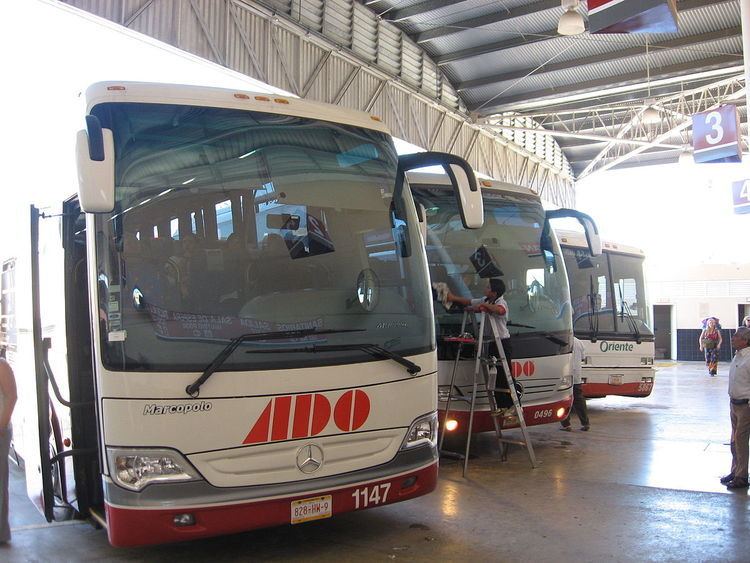 Autobuses de Oriente