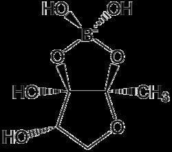 Autoinducer-2 httpsuploadwikimediaorgwikipediacommonsthu