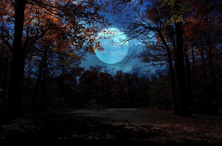 Autumn Moon autumn moon Lisa Holder Flickr