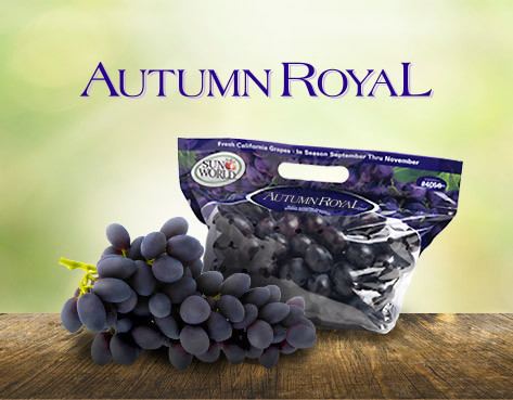 Autumn Royal (grape) Autumn Royal Black Seedless Grapes Sun World