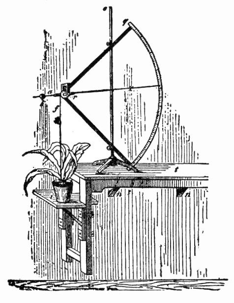 Auxanometer
