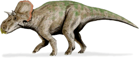 Avaceratops AVACERATOPS DinoChecker dinosaur archive