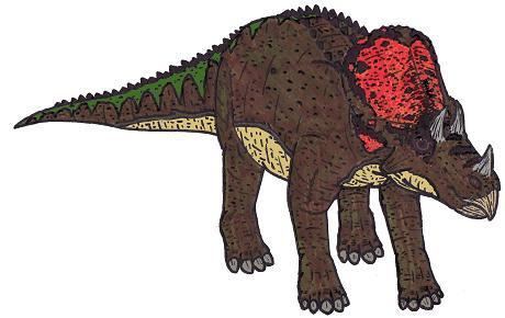 Avaceratops Avaceratops Dinosaur Facts information about the dinosaur avaceratops