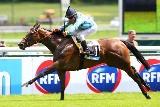 Avenir Certain Avenir Certain le premier classique pour tous France sire