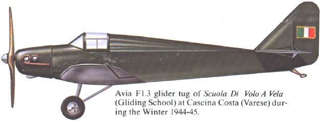 AVIA FL.3 WINGS PALETTE Avia FL3 Italy RSI