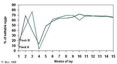 Avian pneumovirus Economic consequences of avian metapneumovirus infection