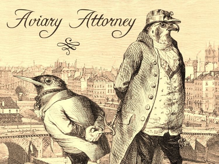 Aviary Attorney Aviary Attorney Review The Backlog