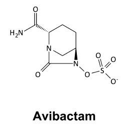 Avibactam httpswwwahcmediacomextresourcesnewsletters