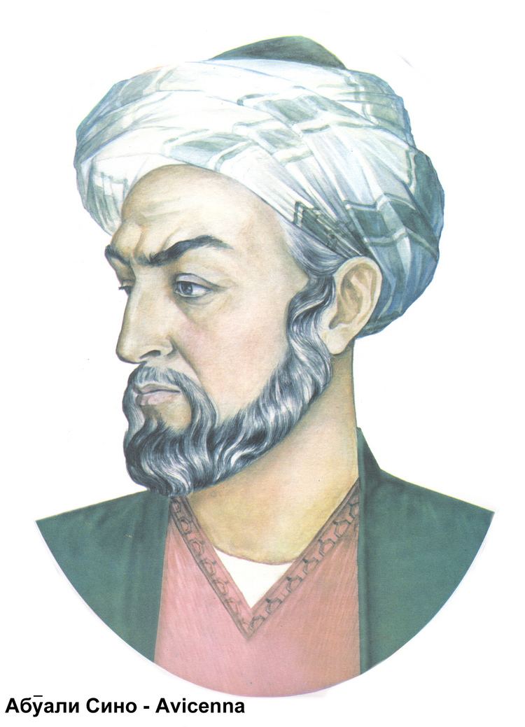 Avicenna Avicenna Ibn Sina physician philosopher Iranian