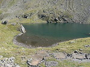 Avrig Lake httpsuploadwikimediaorgwikipediacommonsthu