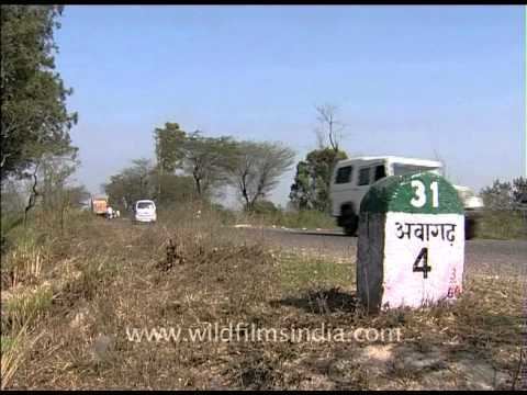 Awagarh On the road to Awagarh in Uttar Pradesh YouTube
